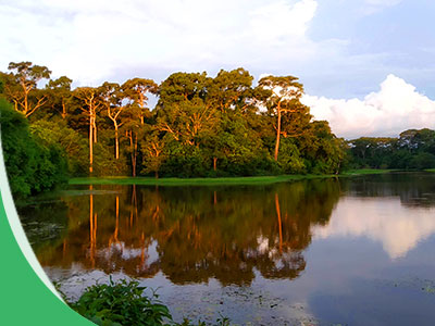 Dulahazra Safari Park