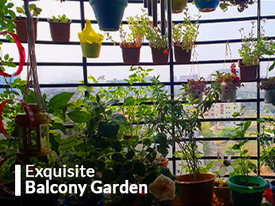 Exquisite Balcony Garden