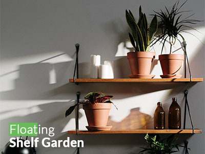 Floating/ Wall-Mounted Shelf Garden