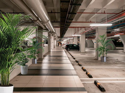 Plants are a Great Way to Liven up Your Garage
