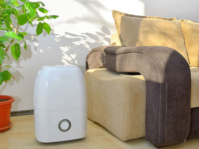 Get a Dehumidifier