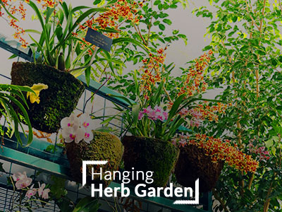 Hanging Herb Garden