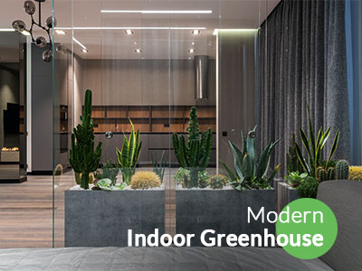 Modern Indoor Greenhouse