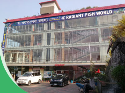 Radiant Fish World