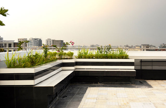 Rooftop Gardening in Dhaka