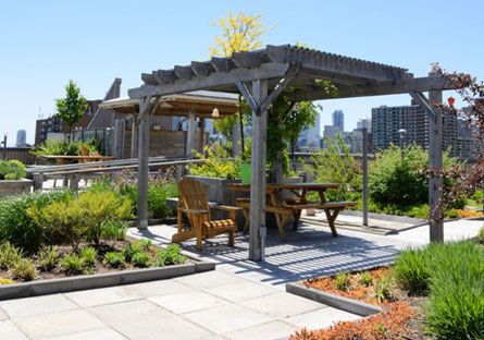 Rooftop Gardening