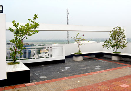 Rooftop Gardening