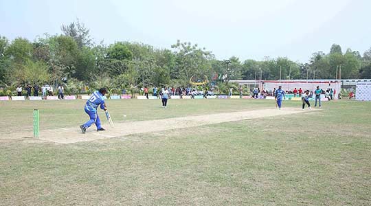 Assure Group Picnic Annual Picnic Sports