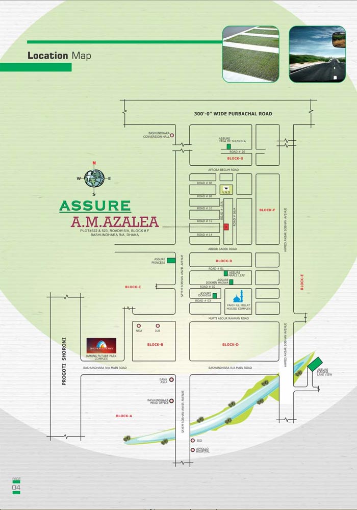 Assure A. M. Azalea location