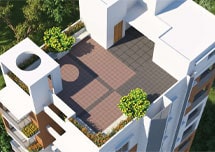 Assure Grapevine Concept
