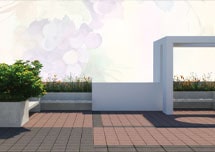 Assure Grapevine Concept