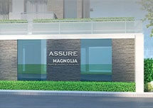 Assure Magnolia